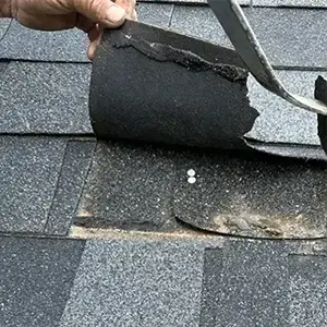 Roofer looking under a damaged shingle